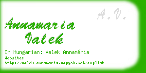 annamaria valek business card